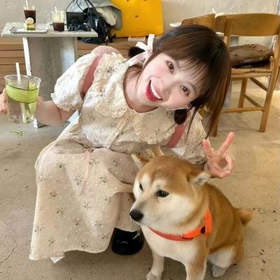无知的声音